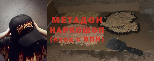 индика Арсеньев